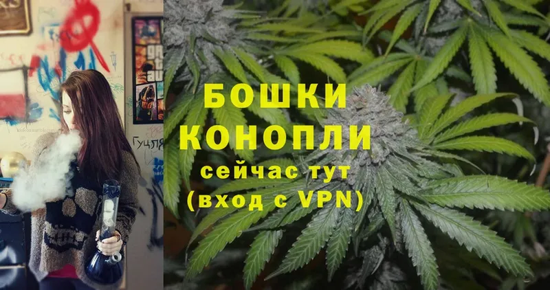 Бошки марихуана OG Kush  Железногорск-Илимский 